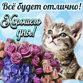 Пожелания хорошего дня — стикер для MAX
