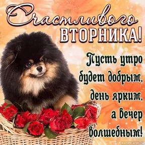 Пожелания хорошего дня — стикер для MAX