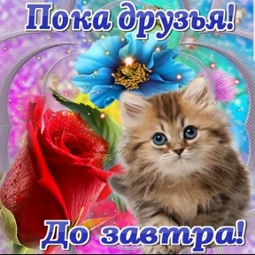 Пожелания хорошего дня — стикер для MAX