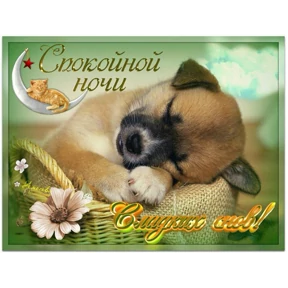 Пожелания хорошего дня — стикер для MAX
