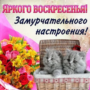 Пожелания хорошего дня — стикер для MAX
