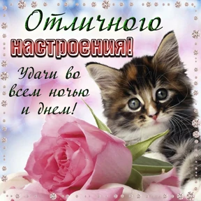 Пожелания хорошего дня — стикер для MAX