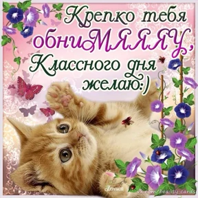 Пожелания хорошего дня — стикер для MAX