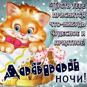 Пожелания хорошего дня — стикер для MAX