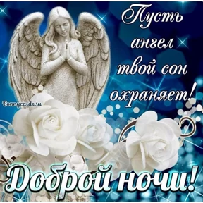 Пожелания хорошего дня — стикер для MAX