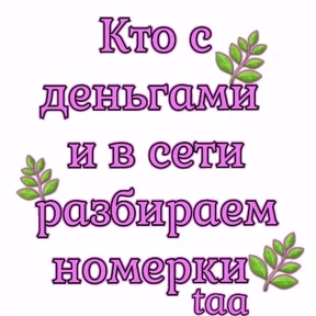 Лот — стикер для MAX