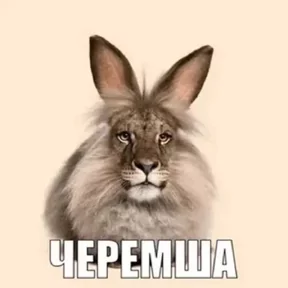 Стикер из сообщения канала