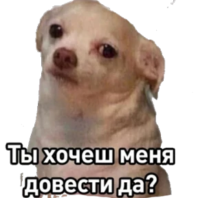 Утинаязёпка — стикер для MAX