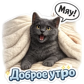 Котики — стикер для MAX