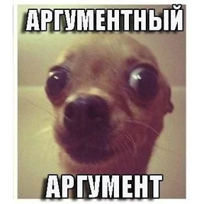 Чайки распи.дяйки — стикер для MAX