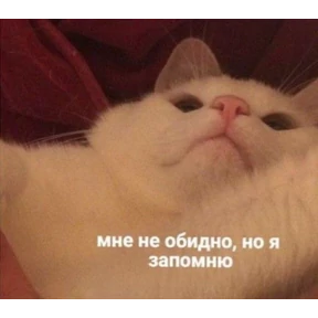 Чайки распи.дяйки — стикер для MAX