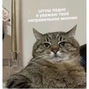 Чайки распи.дяйки — стикер для MAX