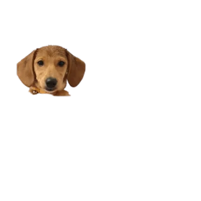 Евгец+ — стикер для MAX