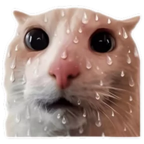 Стикер