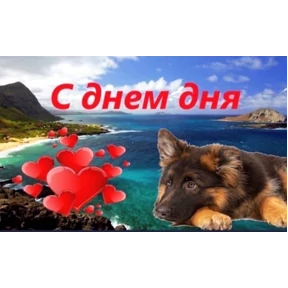 Мои стикерочки — стикер для MAX