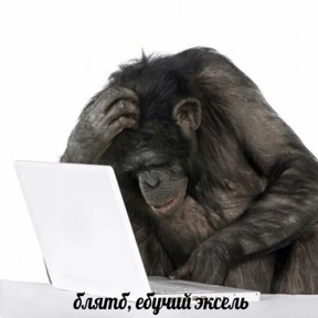 Мои стикерочки — стикер для MAX