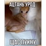 Стикерпак Мем для мессенджера MAX