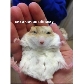Мем — стикер для MAX