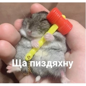 Мем — стикер для MAX
