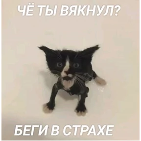Мем — стикер для MAX