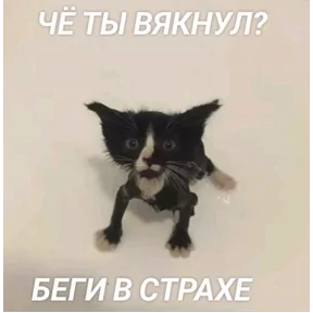 Стикер из сообщения канала