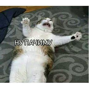 Фото — 21 августа 2026 г. в 08:00:04.575