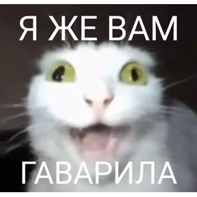 Мем — стикер для MAX