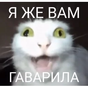Фото — 5 сентября 2026 г. в 15:00:01.676