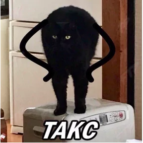 Фото — 21 августа 2026 г. в 13:00:08.211