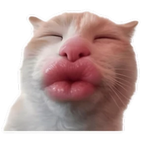 Стикер 18 из набора Goofy cat