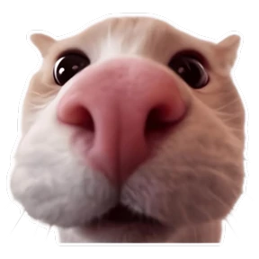 Стикер 19 из набора Goofy cat