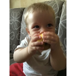 Коломиец — стикер для MAX