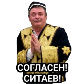ALEKS — стикер для MAX