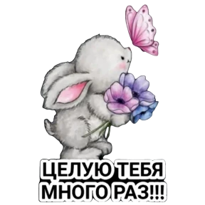 ALEKS — стикер для MAX