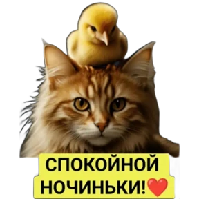 ALEKS — стикер для MAX