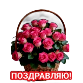 ALEKS — стикер для MAX
