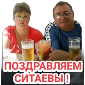 ALEKS — стикер для MAX