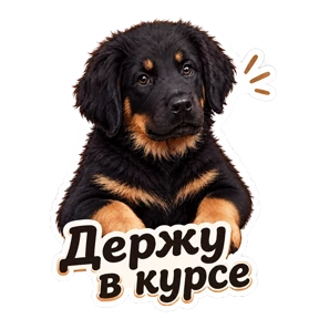 Хотошо Аламжихарру 2 — стикер для MAX