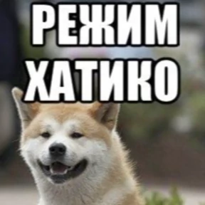 Мем — стикер для MAX