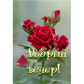Стикер 16 из набора Доброй ночи