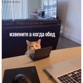 Стикеры Асем — стикер для MAX