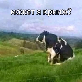 Стикеры Асем — стикер для MAX