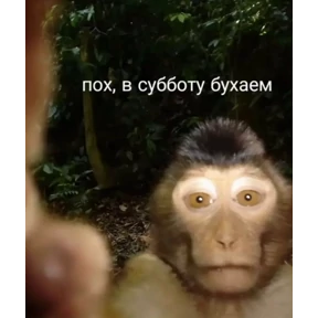 Стикеры Асем — стикер для MAX