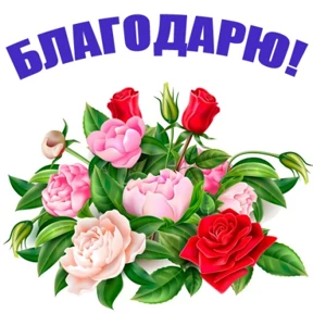 Спасибо — стикер для MAX