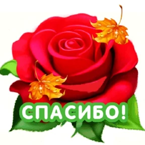 Спасибо — стикер для MAX