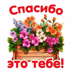 Спасибо — стикер для MAX