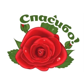 Спасибо — стикер для MAX