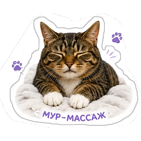 Стикер 19 из набора Мурочка