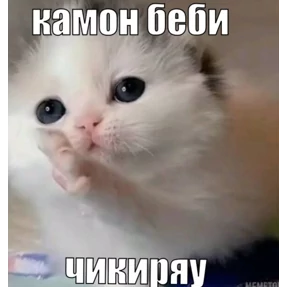 работа работа — стикер для MAX