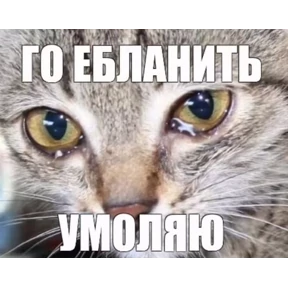 работа работа — стикер для MAX